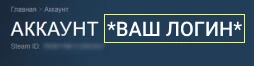 Страница аккаунта Steam: логин написан крупно вверху